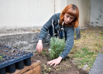 Proyecto Cultivando: Se viene el taller de fragancias aromáticas