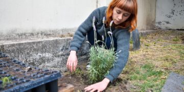 Proyecto Cultivando: Se viene el taller de fragancias aromáticas