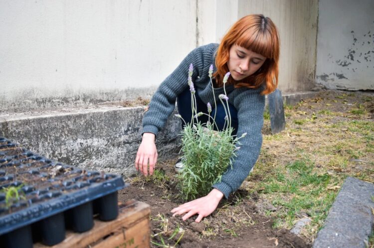 Proyecto Cultivando: Se viene el taller de fragancias aromáticas
