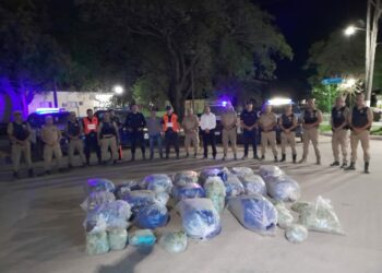 Incautan 600 kilos de hojas de coca