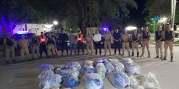 Incautan 600 kilos de hojas de coca