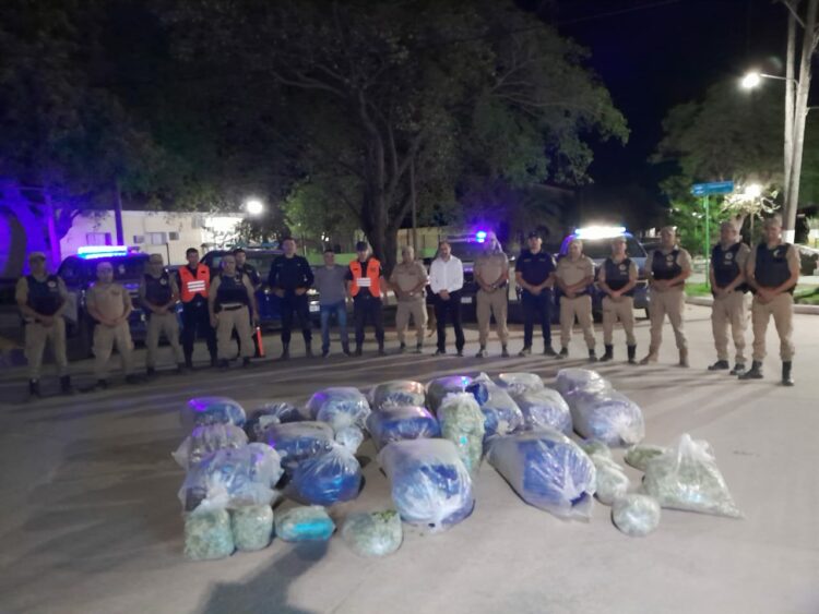 Incautan 600 kilos de hojas de coca