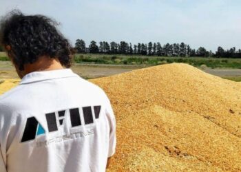 Desmantelan maniobras fraudulentas con 1.700 toneladas de granos de por medio en Córdoba