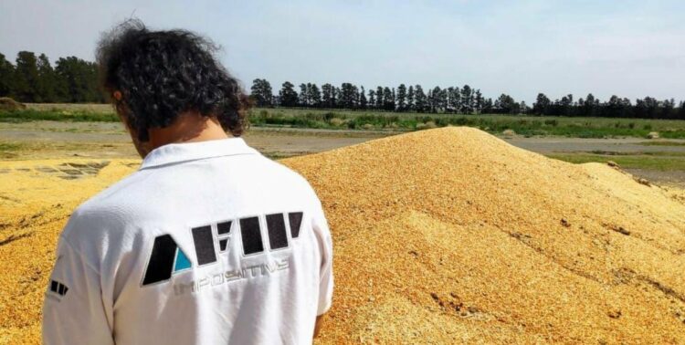 Desmantelan maniobras fraudulentas con 1.700 toneladas de granos de por medio en Córdoba