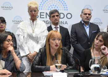 Senadores oficialistas insistirán con la designación de Doñate en el Consejo