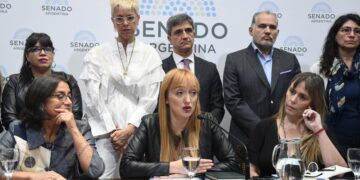 Senadores oficialistas insistirán con la designación de Doñate en el Consejo