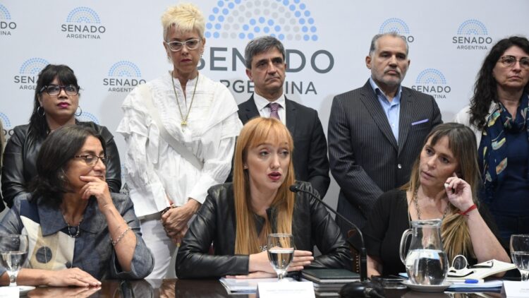 Senadores oficialistas insistirán con la designación de Doñate en el Consejo