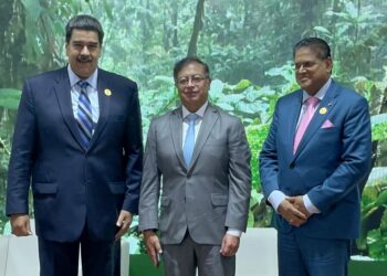 América Latina unificó su pedido de financiamiento climático para proteger el Amazonas