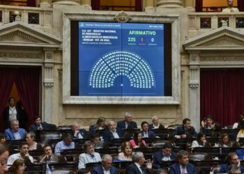 Diputados aprobó la creación de un registro de deudores alimentarios morosos
