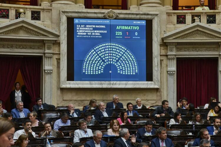 Diputados aprobó la creación de un registro de deudores alimentarios morosos