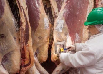 Argentina exportará carne bovina a México