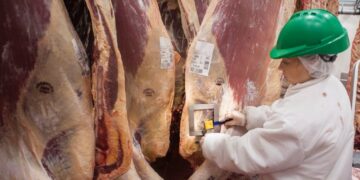 Argentina exportará carne bovina a México
