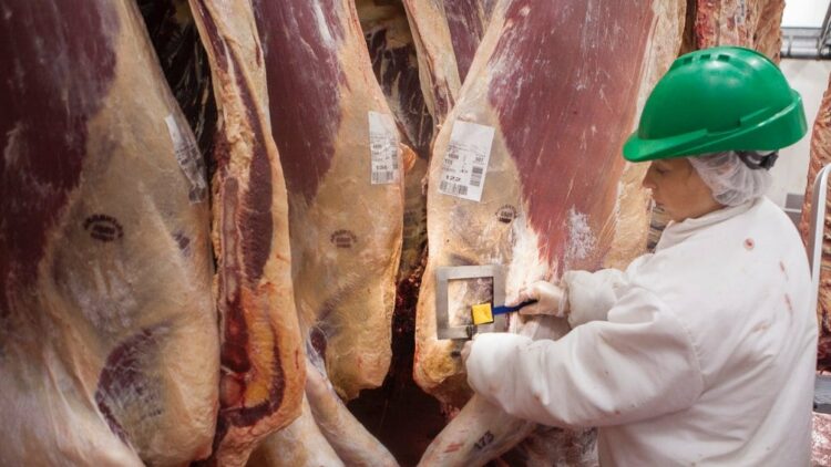 Argentina exportará carne bovina a México