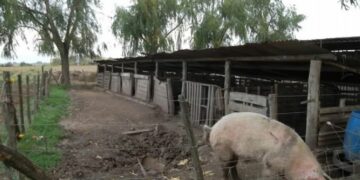 Rescataron a 13 trabajadores