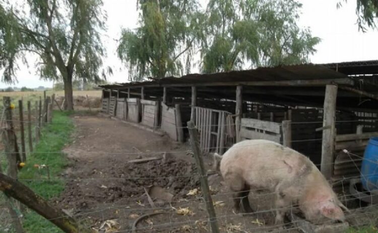 Rescataron a 13 trabajadores