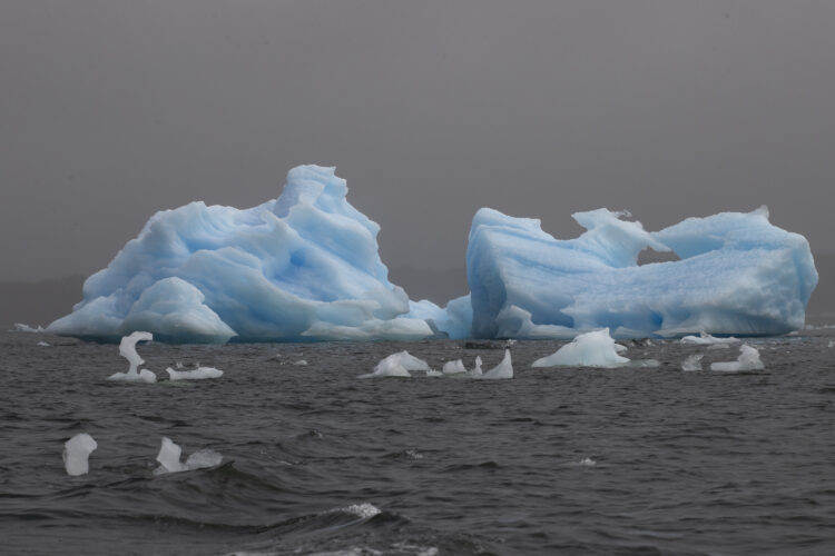 En la imagen de archivo, un iceberg flota en la laguna San Rafael, perteneciente al parque nacional de mismo nombre, el 13 de febrero de 2022, en la región de Aysén (Chile). EFE/ Alberto Valdes