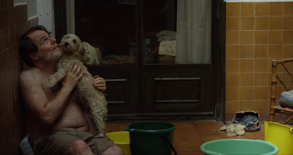 El Fecico exhibe en la pantalla grande el cine con tonada local