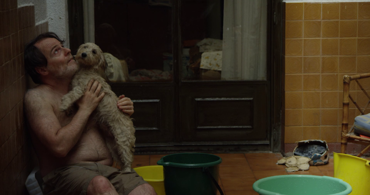 El Fecico exhibe en la pantalla grande el cine con tonada local