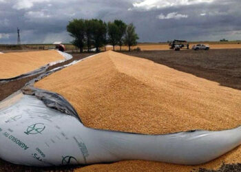 Cinco acusados serán sometidos a juicio abreviado por robar 40 mil kilogramos de soja