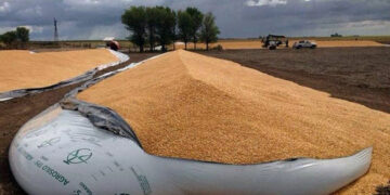 Cinco acusados serán sometidos a juicio abreviado por robar 40 mil kilogramos de soja