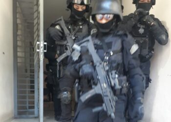 Acudió a la Policía por un supuesto robo y terminó detenido por tener un vivero de marihuana