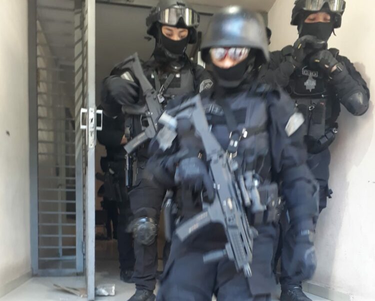 Acudió a la Policía por un supuesto robo y terminó detenido por tener un vivero de marihuana