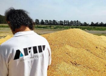 La Afip desarticuló un fraude por 1.700 toneladas de granos