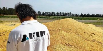 La Afip desarticuló un fraude por 1.700 toneladas de granos