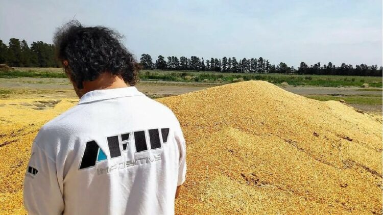 La Afip desarticuló un fraude por 1.700 toneladas de granos