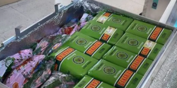 Insólita pólemica por la yerba que llevó la Selección a Qatar