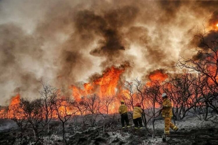 Continúan los incendios forestales en Traslasierra y son cuatro las provincias con focos activos