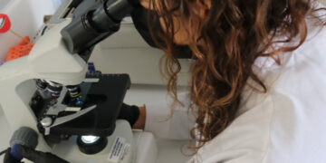 Presentan el Plan Nacional de ciencia y tecnología 2030