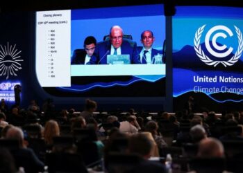 Sabor a poco en el acuerdo alcanzado por el COP27