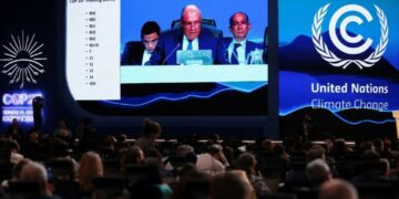 Sabor a poco en el acuerdo alcanzado por el COP27