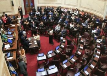 El Senado convirtió en ley el proyecto de Presupuesto 2023