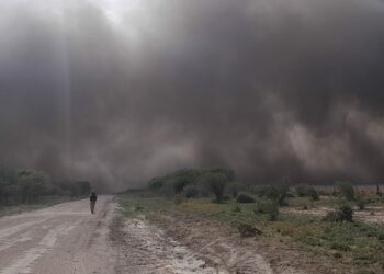 Declararán en Córdoba estado de desastre agropecuario por los incendios
