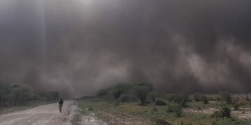 Declararán en Córdoba estado de desastre agropecuario por los incendios