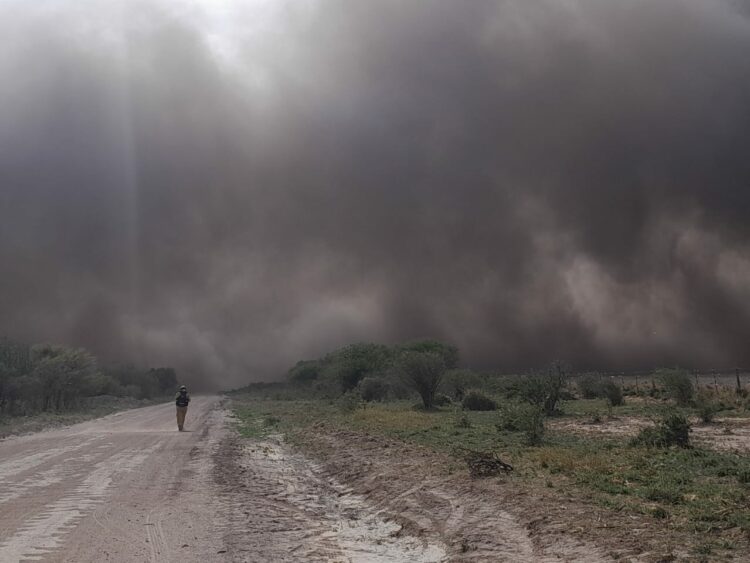 Declararán en Córdoba estado de desastre agropecuario por los incendios