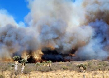 Dos incendios forestales se desataron en las sierras