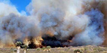Dos incendios forestales se desataron en las sierras