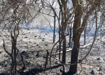 Controlaron los incendios en Traslasierra