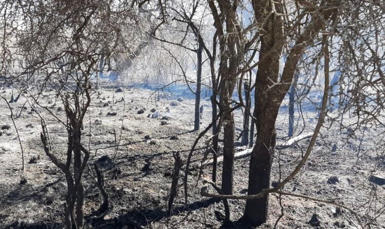 Controlaron los incendios en Traslasierra