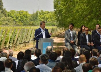 Disponen de un dólar especial para las economías regionales