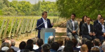 Disponen de un dólar especial para las economías regionales