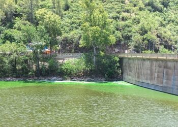 Lago San Roque: presentaron un amparo por contaminación