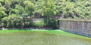 Lago San Roque: presentaron un amparo por contaminación