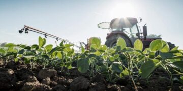 Crearon un programa de compensación para pequeños y medianos productores de soja y maíz