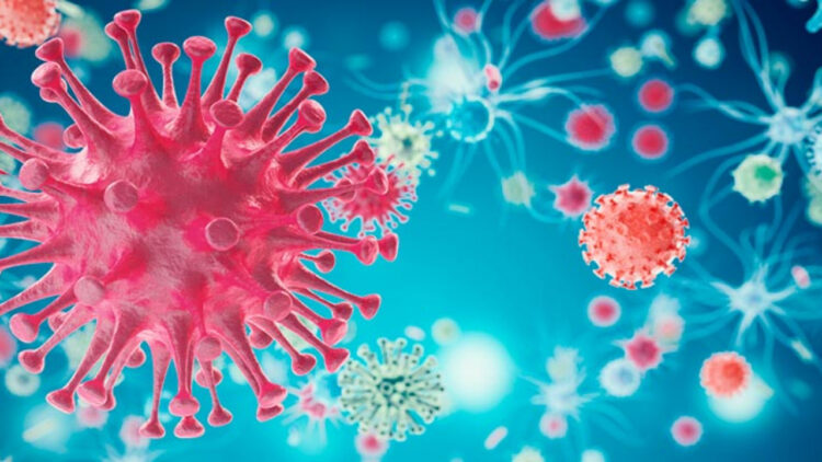La OMS investiga 25 familias de virus y bacterias que pueden provocar futuras pandemias