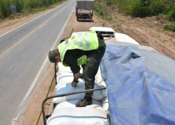 Incautaron más de 47 toneladas de soja sin documentación
