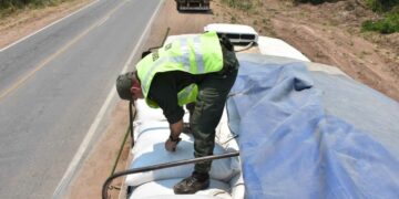 Incautaron más de 47 toneladas de soja sin documentación